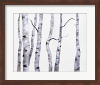 Framed Birch Trees I