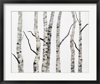 Framed Birch Trees II
