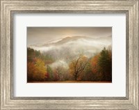 Framed Photography Study Autumn Mist