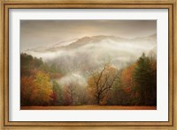 Framed Photography Study Autumn Mist