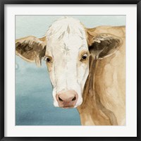 Framed Hereford Stare II