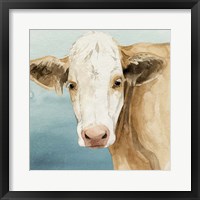 Framed Hereford Stare II