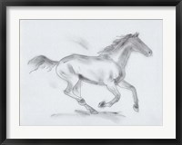 Framed Smoke Stallion I