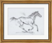 Framed Smoke Stallion I