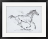 Framed Smoke Stallion I