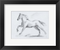 Framed Smoke Stallion II