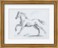 Framed Smoke Stallion II