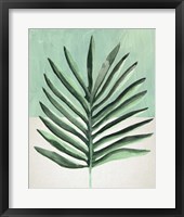 Verging Palm I Framed Print
