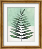 Framed Verging Palm II