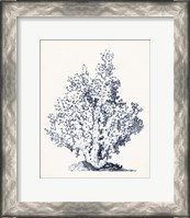 Framed Blue Antique Coral I