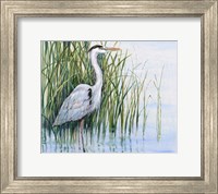 Framed Heron in the Marsh I