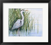 Framed Heron in the Marsh I