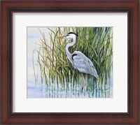 Framed Heron in the Marsh II