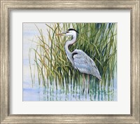 Framed Heron in the Marsh II