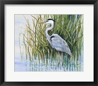Heron in the Marsh II Framed Print