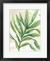 Parchment Palms I Framed Print