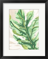 Parchment Palms IV Framed Print