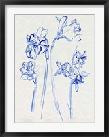 Framed Inky Daffodils I