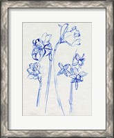 Framed Inky Daffodils I