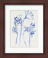 Framed Inky Daffodils I