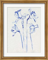 Framed Inky Daffodils II