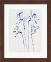Framed Inky Daffodils II