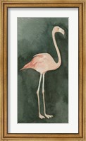 Framed Forest Flamingo II