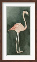 Framed Forest Flamingo II