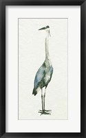 Deep Blue Heron II Framed Print