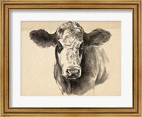 Framed Charcoal Cow I