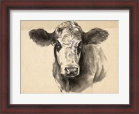 Framed Charcoal Cow I