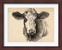Framed Charcoal Cow I