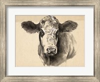 Framed Charcoal Cow I