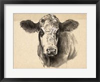 Charcoal Cow I Framed Print