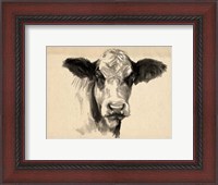Framed Charcoal Cow II