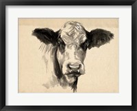 Framed Charcoal Cow II