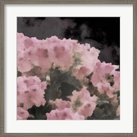 Framed Blush Rush II