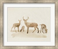 Framed Whitetail Herd I