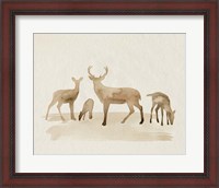 Framed Whitetail Herd I