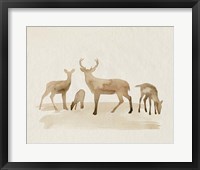 Whitetail Herd I Framed Print