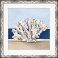Framed Coral By the Shore I