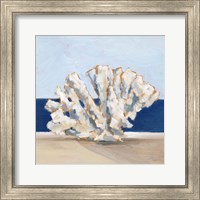 Framed Coral By the Shore I