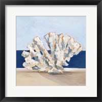Coral By the Shore I Framed Print