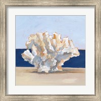 Framed Coral By the Shore II