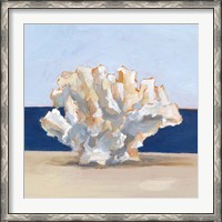 Framed Coral By the Shore II