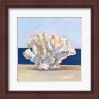 Framed Coral By the Shore II