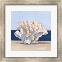 Framed Coral By the Shore II