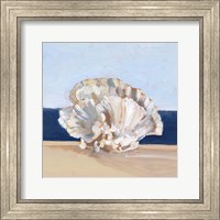 Framed Coral By the Shore III