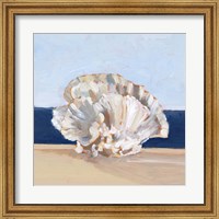 Framed Coral By the Shore III