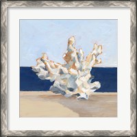 Framed Coral By the Shore IV
